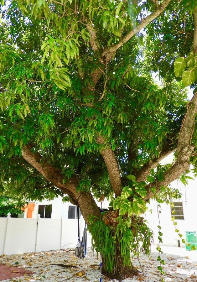 Enchanting Cozy Apartment 10 Min Away From Airport, Calle 8, Brickell, Coral Gables, The Beach And More! Miami Eksteriør bilde